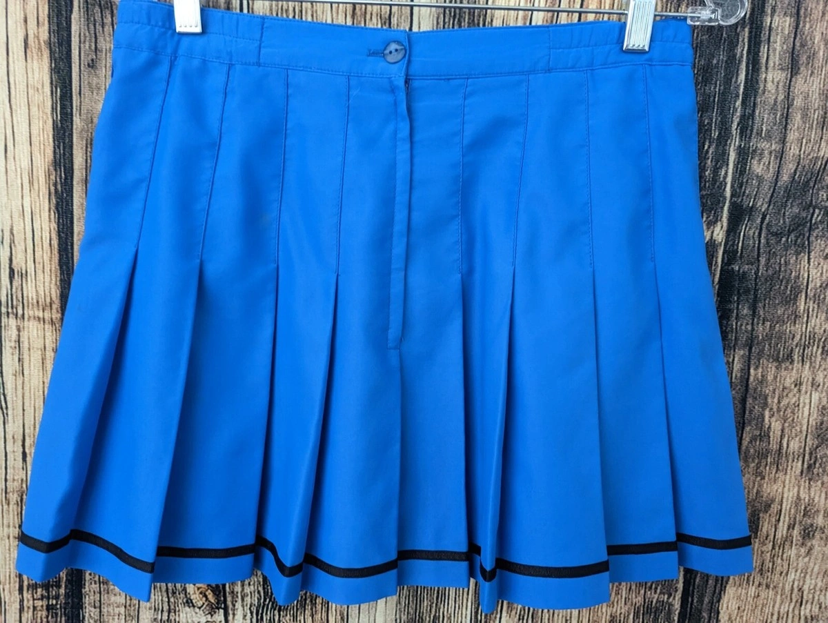 A blue pleated skirt has a waistband and dark trim near the hem.